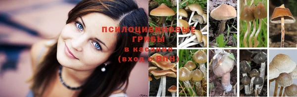 винт Лагань