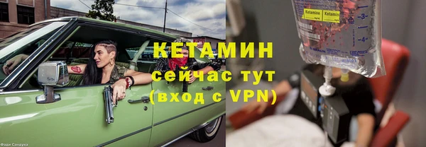 винт Лагань