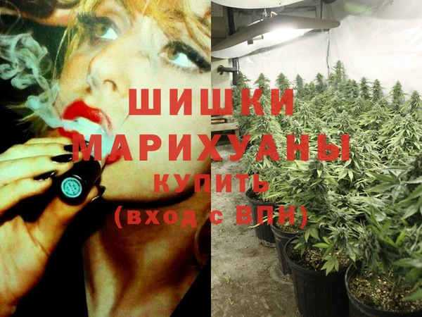 винт Лагань